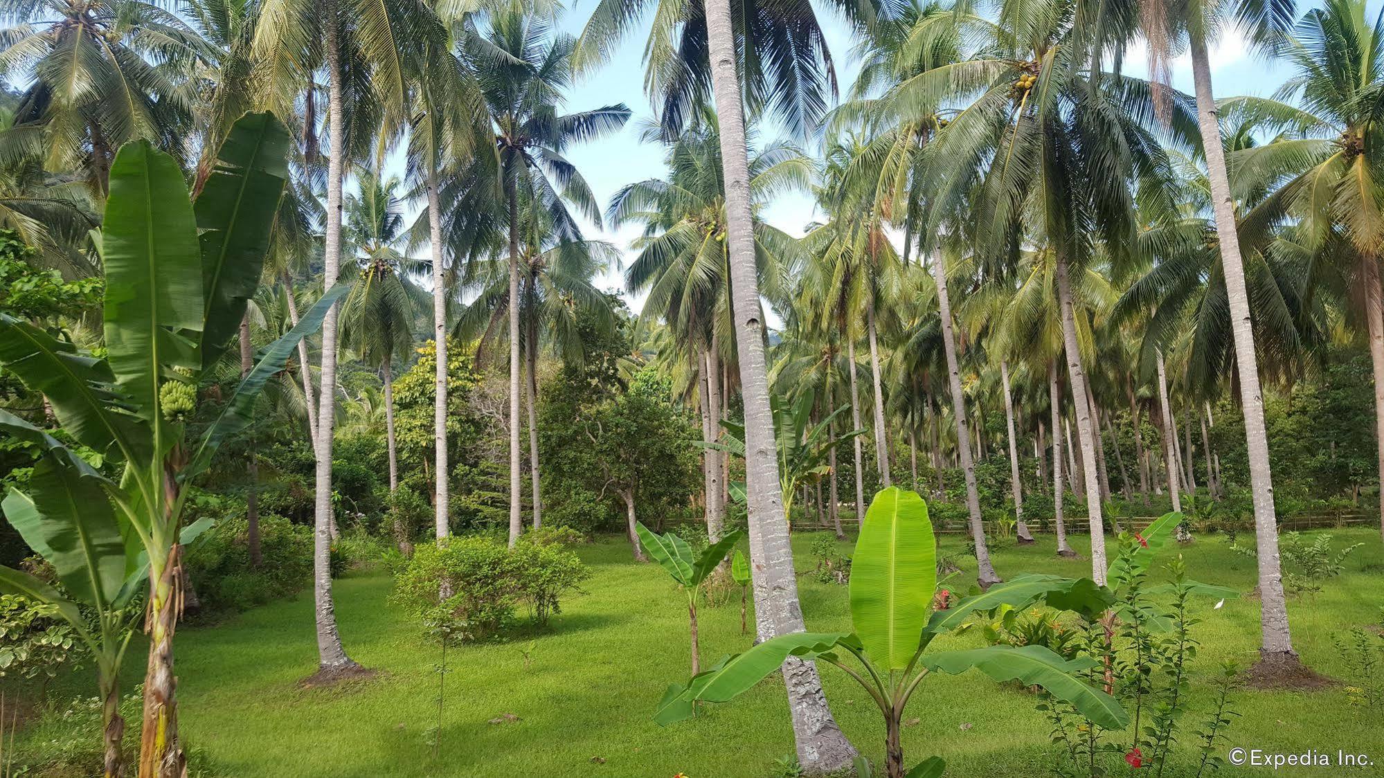 Mangrove Resort Puerto Princesa Exterior photo